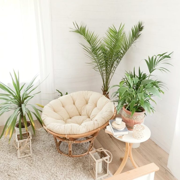 Aurore, organisatrice d’intérieur à Bordeaux, accompagnant ses clients vers sérénité et clarté chez eux